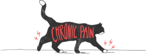 Chronic Pain in pets 