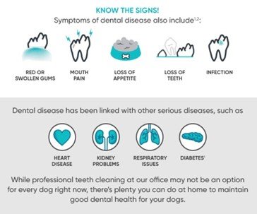 Know the signs of dental issues