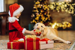 Holiday Safety Tips from Fox Run Animal Hospital